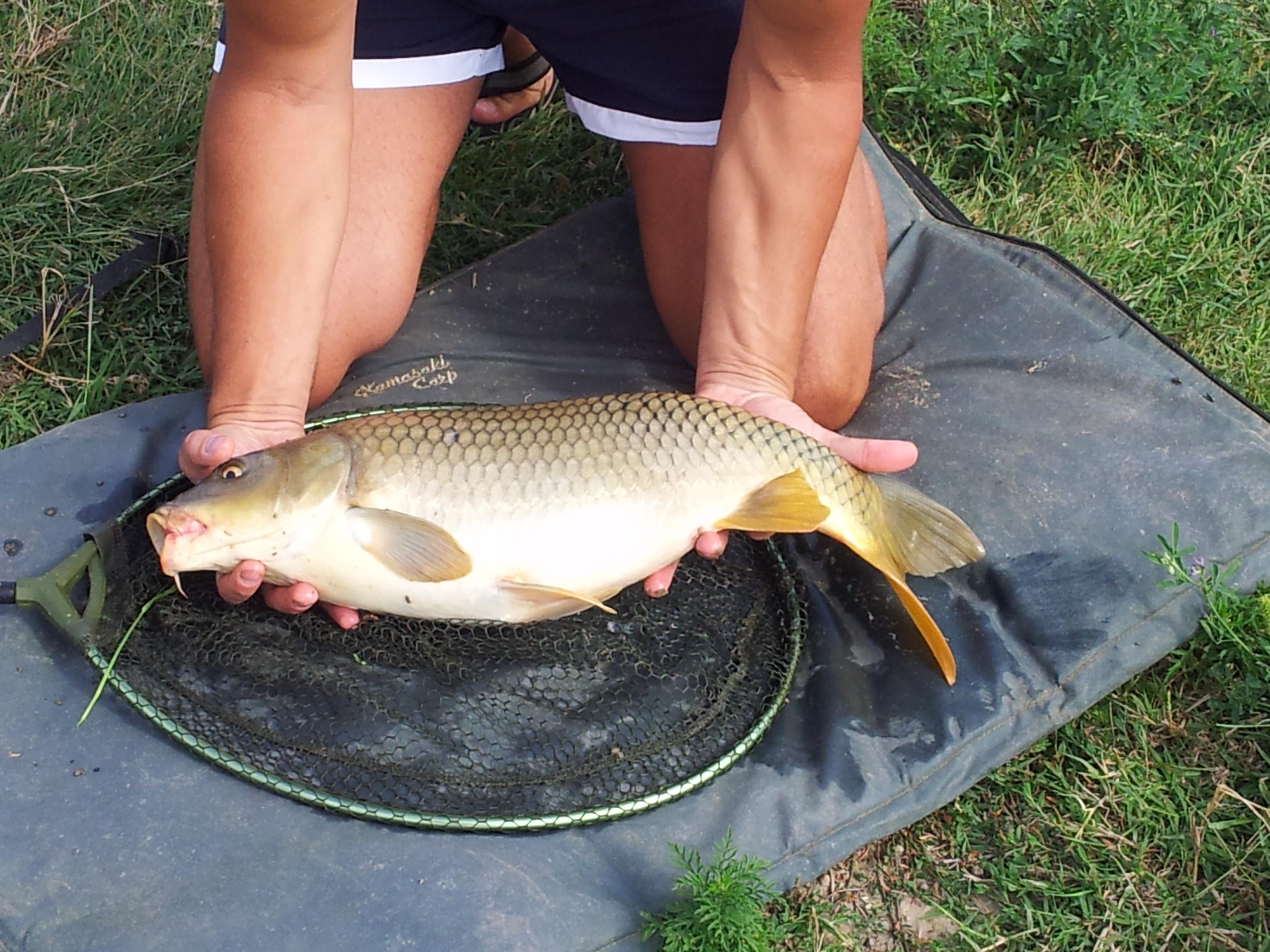 Giris de cris 9 - 9 aug. - 2012-08-09 16.50.57.jpg